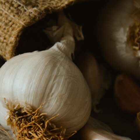 Starting Your Own Garlic Farm: A Step-by-Step Guide
