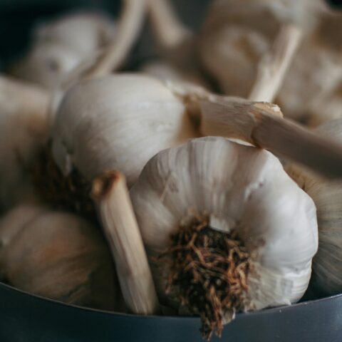 Delicious Recipes Using Fresh Garlic