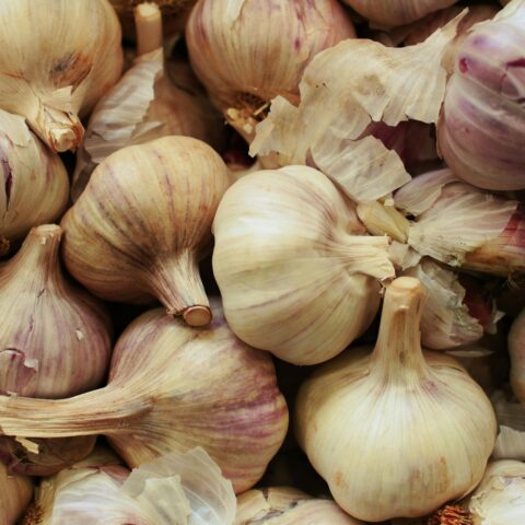Common Garlic Pests and How to Control Them